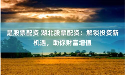 是股票配資 湖北股票配資：解鎖投資新機遇，助你財富增值